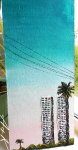 Palms