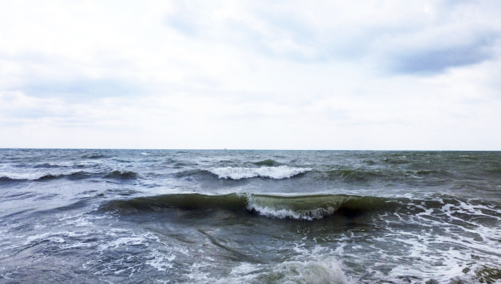 Нежность морских языков