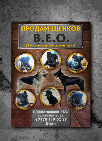 Плакат А3