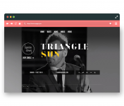 Сайт под ключ для Рок-группы - Triangle Sun