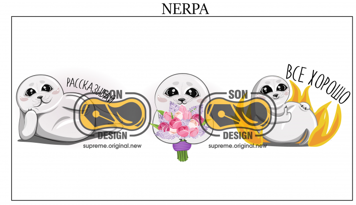 Разработка персонажа(стикера) Нерпа
