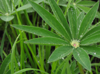 Работа 1034682