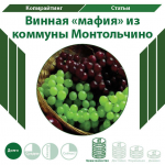 Винная «мафия»  из коммуны Монтольчино