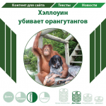 Хэллоуин  убивает орангутангов