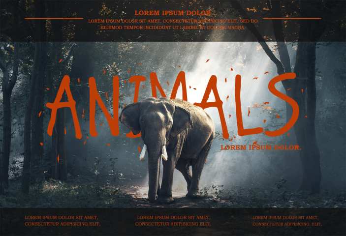 Баннер "Animals"