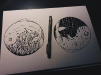 circlewhales