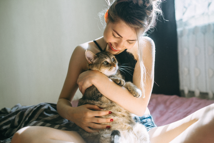 мой кот