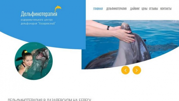 Создание сайта для "Дельфинотерапии".