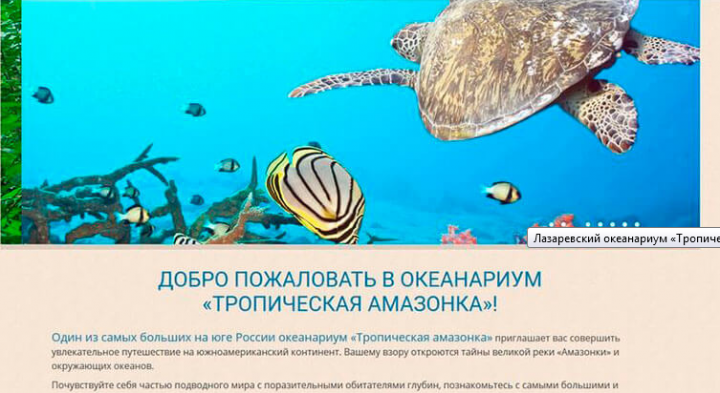 Создание сайта для океанариума "Тропическая амазонка".