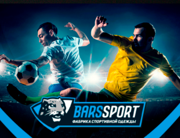 Обложка для группы ВК «BarsSport»