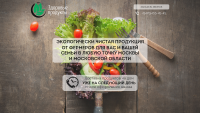 Блок для сайта здоровой еды