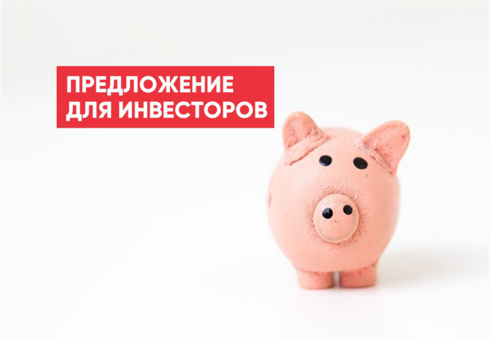Презентация для инвесторов