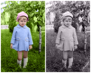 Работа 2857474