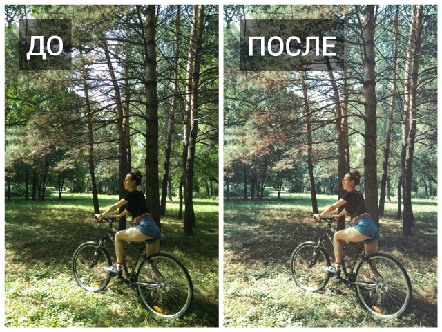 Работа 3570124