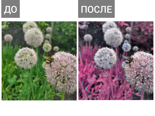 Работа 3570116
