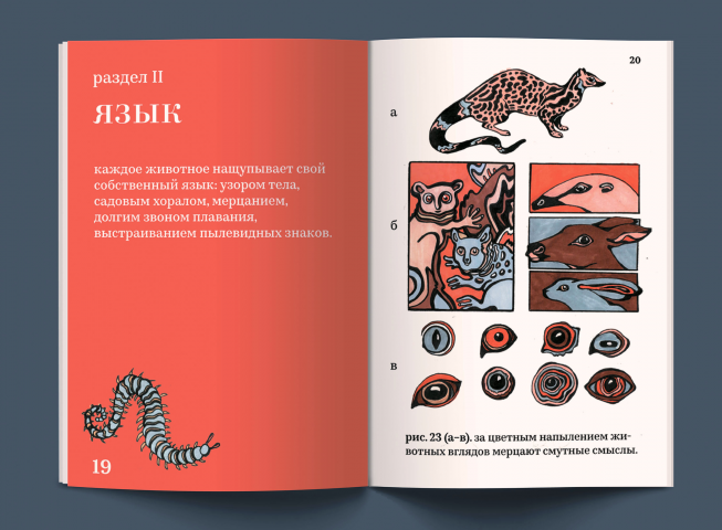Зоологические грёзы