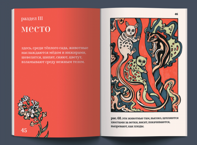 Зоологические грёзы