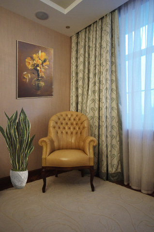 Проект  TRIUMPH PALACE