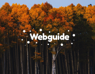 Webguide - справочник по веб-программированию.