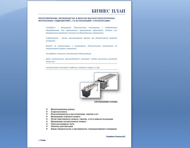 БИЗНЕС ПЛАН "Высокотехнологичные глоубоксы"
