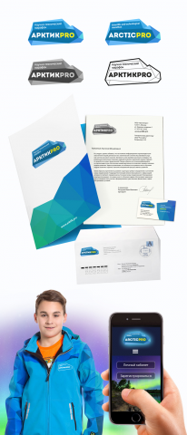 Фирменный стиль "Арктик про"