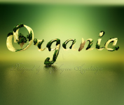 Логотип Organic