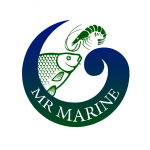 Лого для рыболовной компании в сине-зеленом цвете