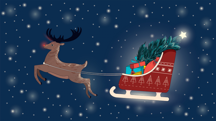Cristmas deer