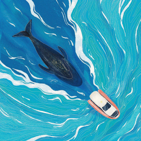 Wildlife