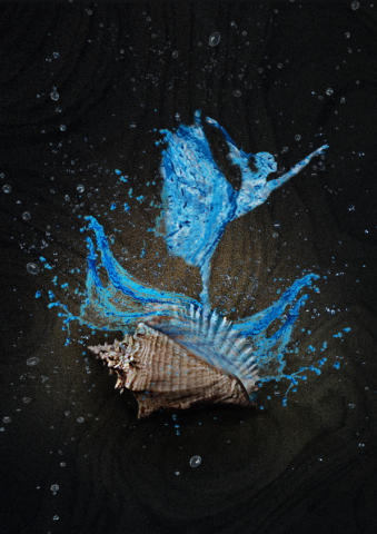 Shell