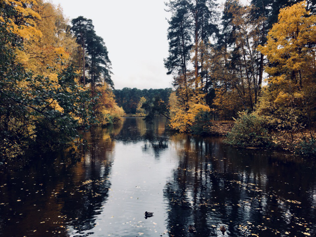 Работа 3562175