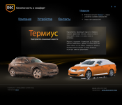 DSC. Безопасность и комфорт