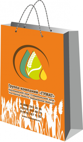 Работа 3560106