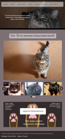 Котики