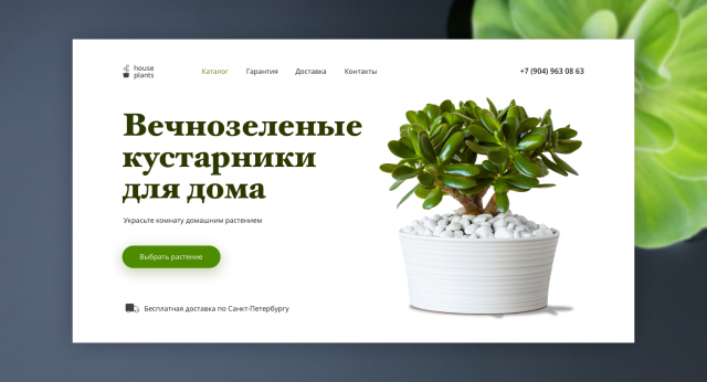 Баннер растения