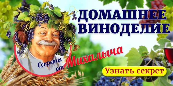 Баннер Виноделия