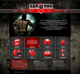 « УДАРНИК »