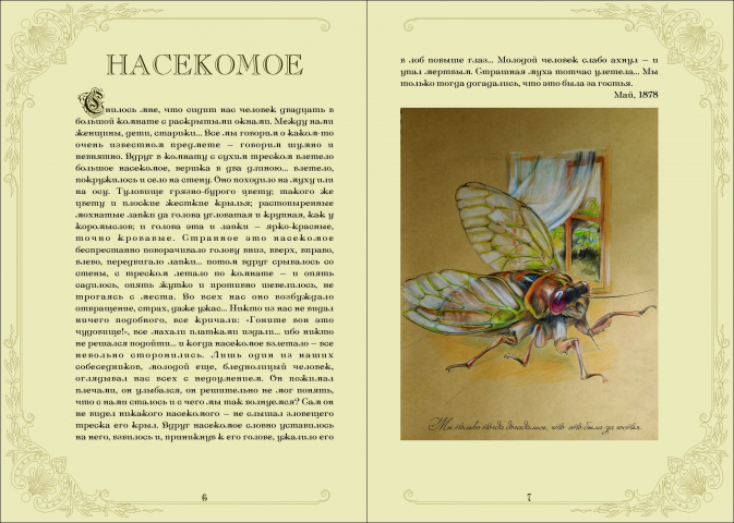 Верстка и иллюстрация книг.