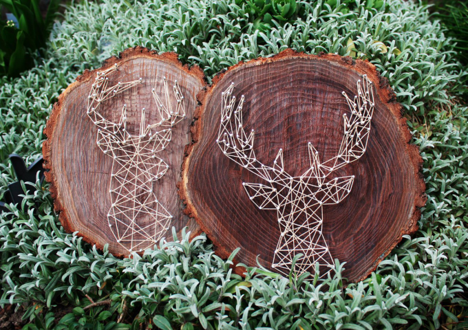 Олени в технике String art