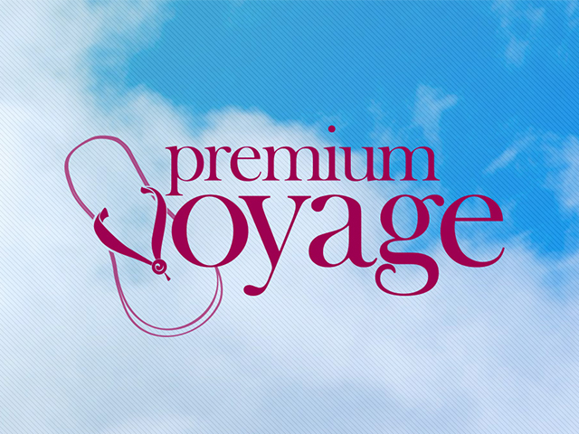 Фирменный стиль Premium Voyage