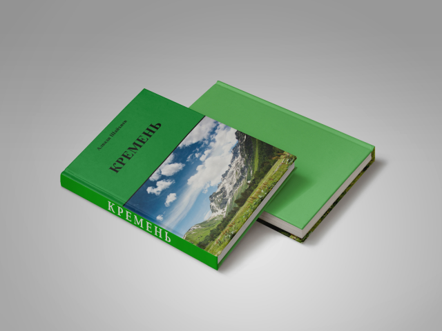 Книга Алвади Шайхиева "Кремень"