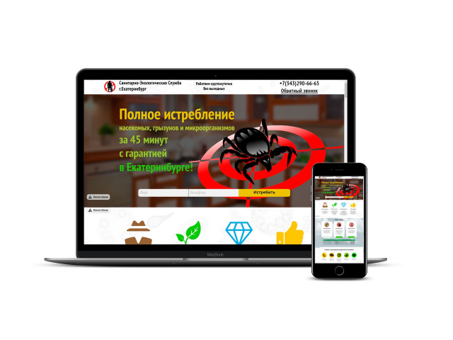 Дезинсекция