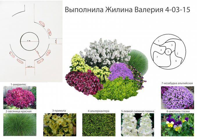 Работа 3550503