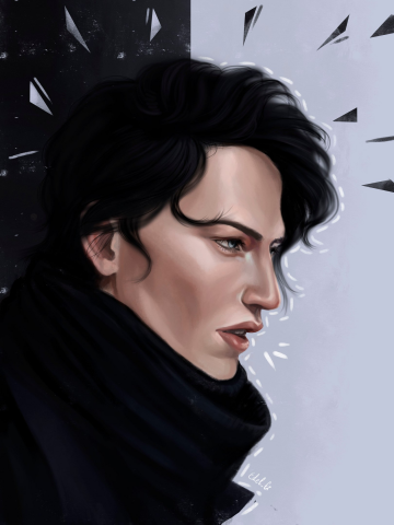 Работа 3206075