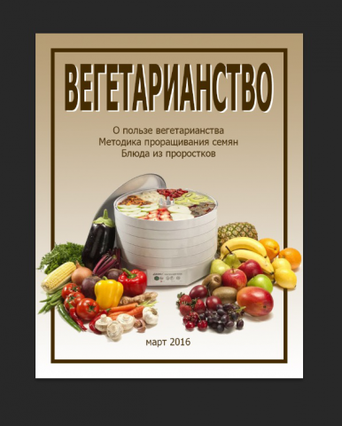 обложка журнала5