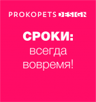 Сроки