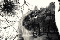 Двойная Экспозиция