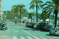 Работа 2532822