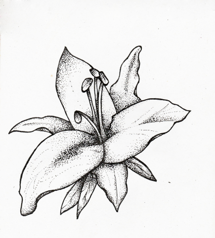 Эскиз для татуировки в стиле dotwork