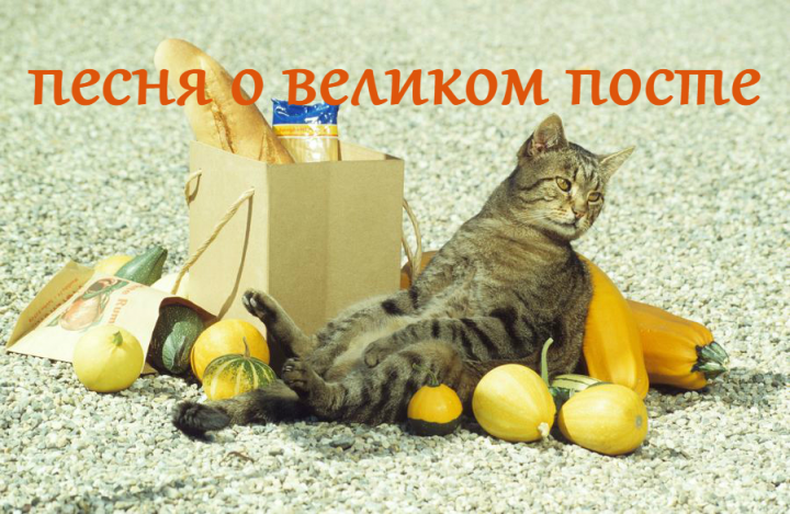 Веселый музыкальный видео клип.